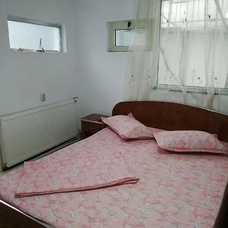 Ioana קונסטנצה